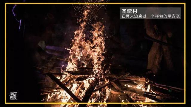 乐高都市卧底风云